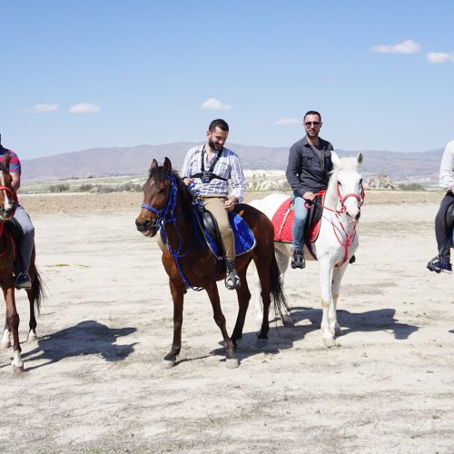 4 Hours Horse Riding Experience in the Countryside