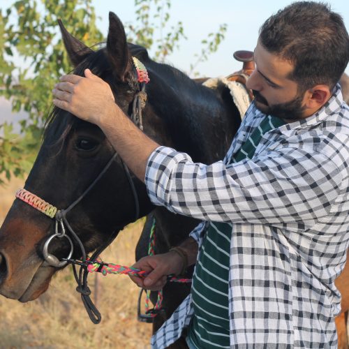 2 Hours Cappadocia Horse Riding Tour